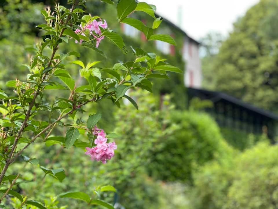 Hotel Les Grillons Du Morvan Montsauche-les-Settons Exteriér fotografie