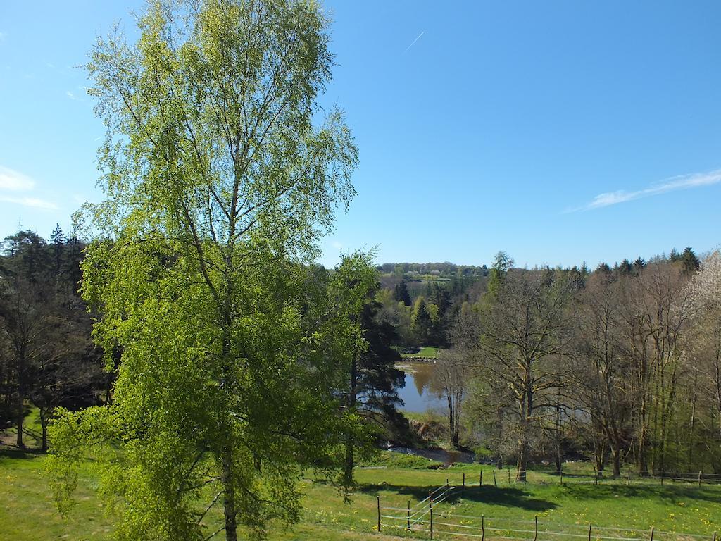 Hotel Les Grillons Du Morvan Montsauche-les-Settons Pokoj fotografie